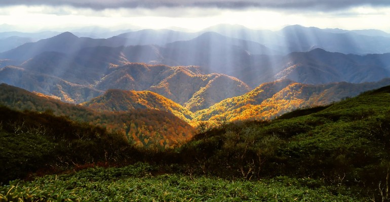 autumn-2183489_1280